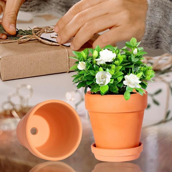 3 Inch Terracotta Pots with Saucer-20 Pack Succulent Cactus Plant Pots with Drai - Picture 5 of 7